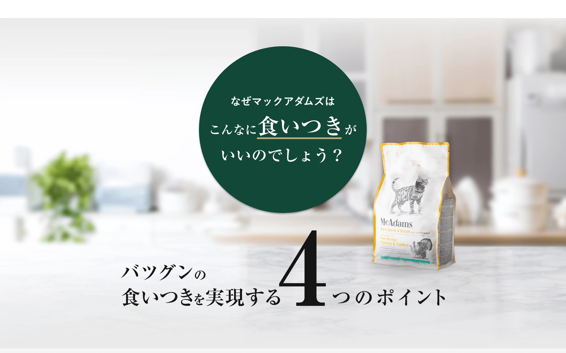 なぜマックアダムズはこんなに食いつきがいいのでしょう？バツグンの食いつきを実現する4つのポイント