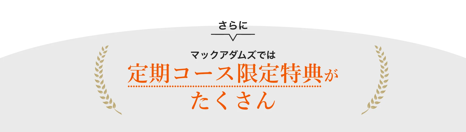 定期コース限定特典がたくさん