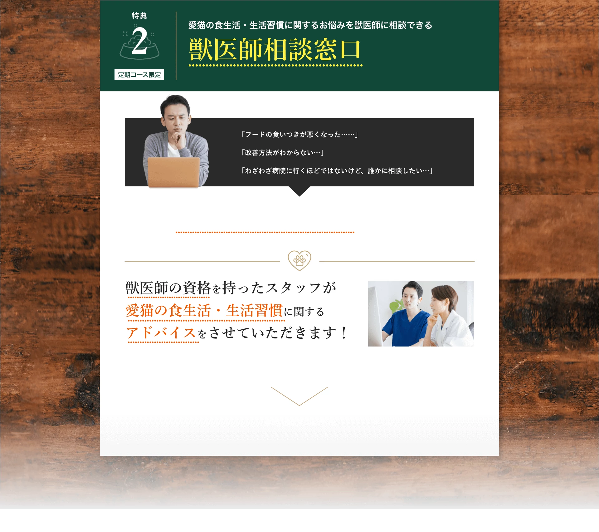 特典2:愛猫の食生活・生活習慣に関するお悩みを獣医師に相談できる獣医師相談窓口