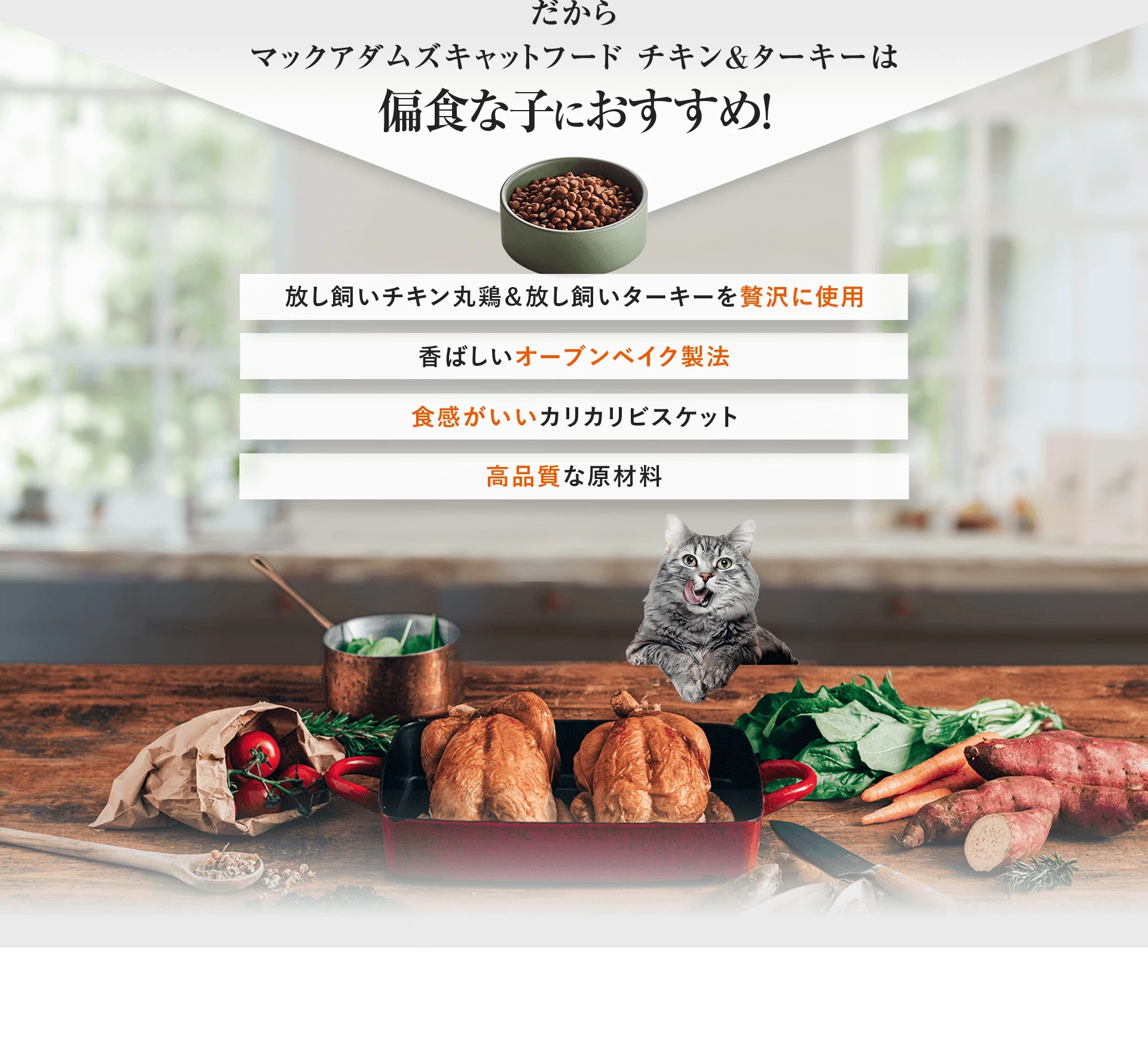 だからマックアダムズキャットフード チキン&ターキーは偏食な子におすすめ!