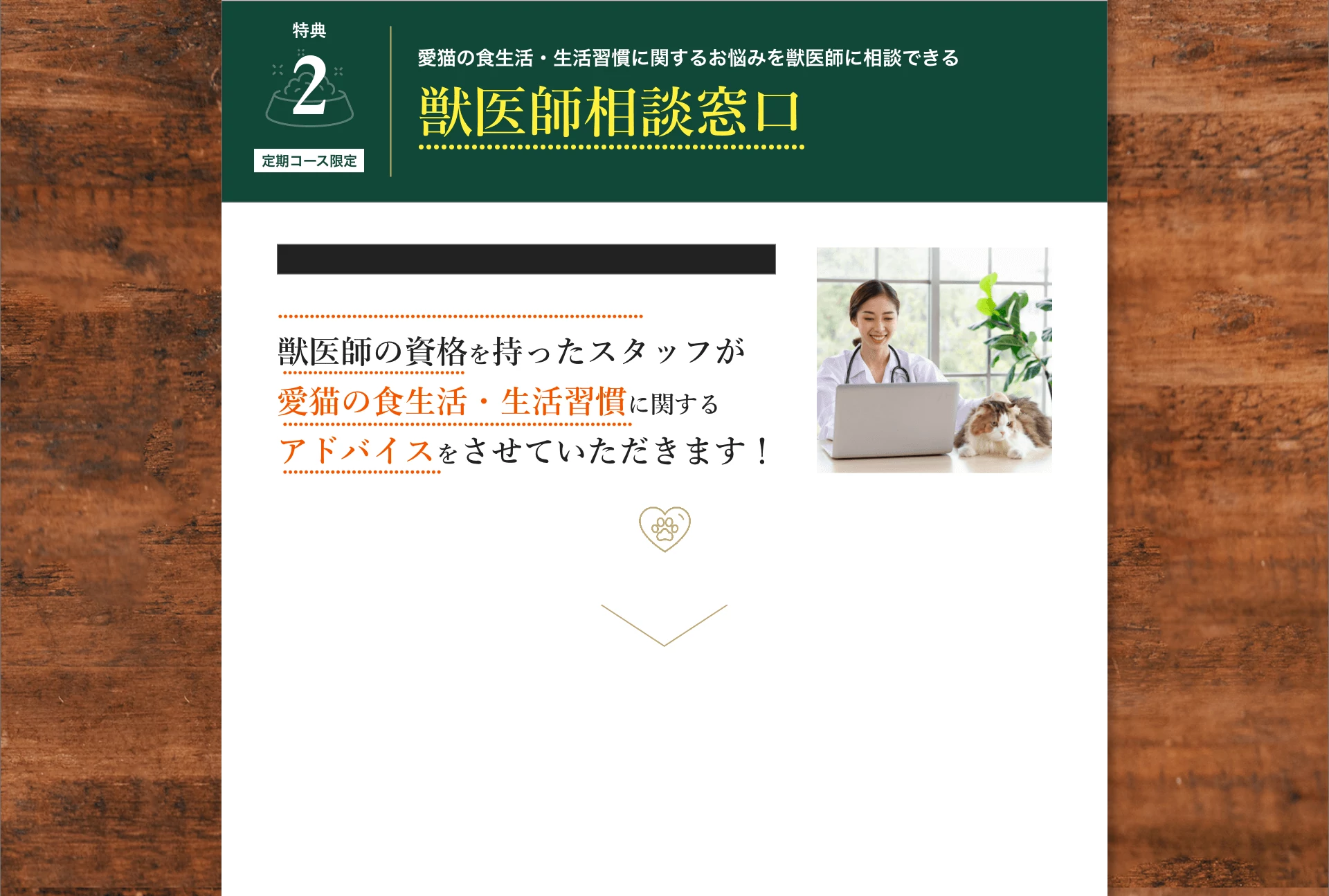 特典2:愛猫の食生活・生活習慣に関するお悩みを獣医師に相談できる獣医師相談窓口
