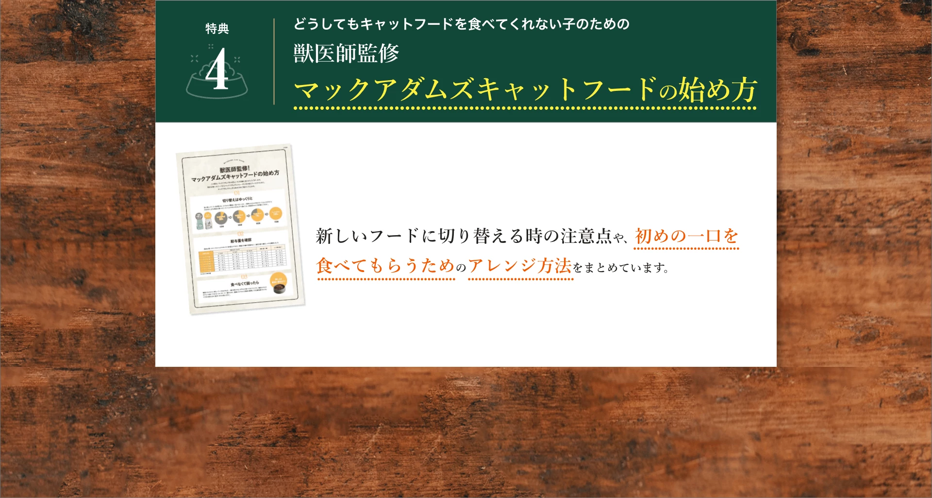 特典4:どうしてもキャットフードを食べてくれない子のための獣医師監修マックアダムズキャットフードの始め方