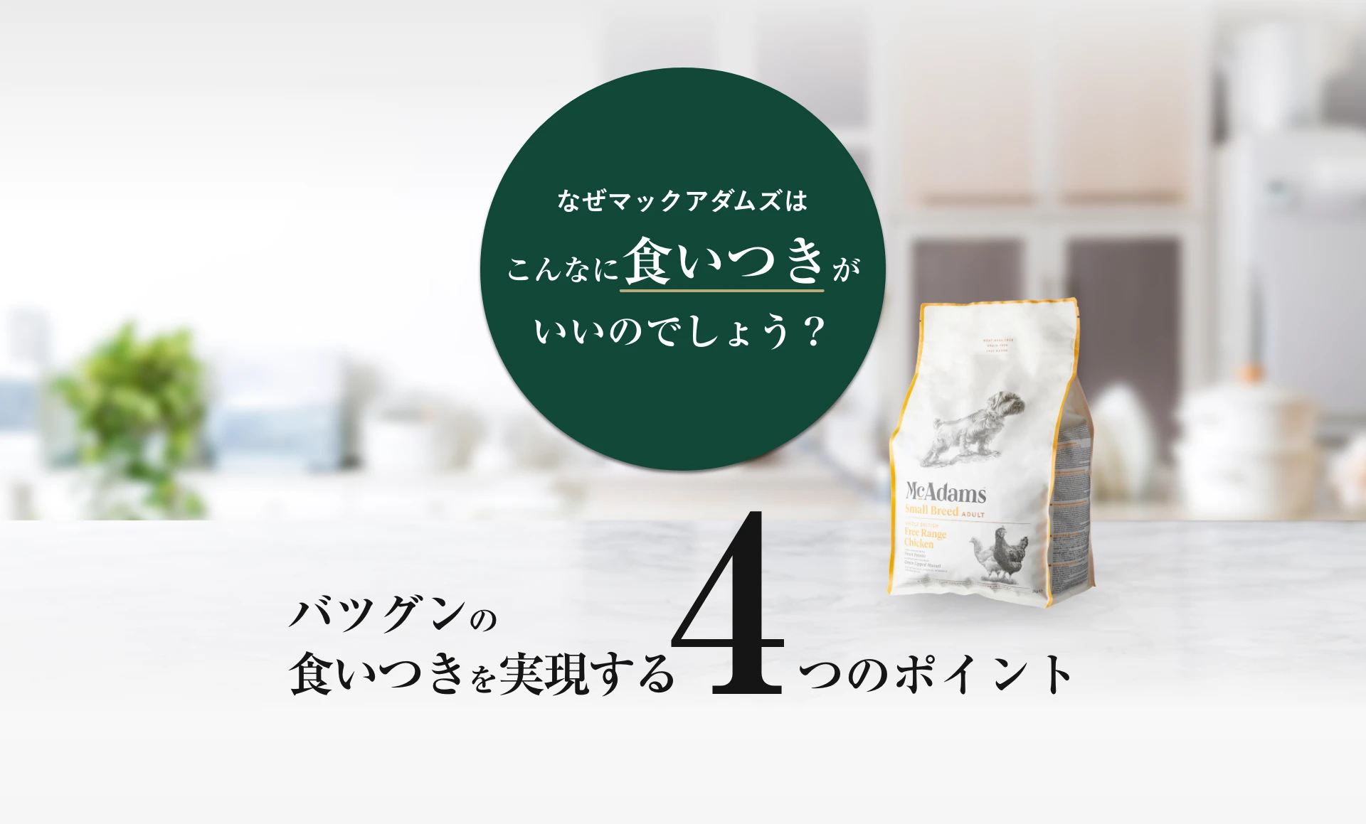 なぜマックアダムズはこんなに食いつきがいいのでしょう？バツグンの食いつきを実現する4つのポイント