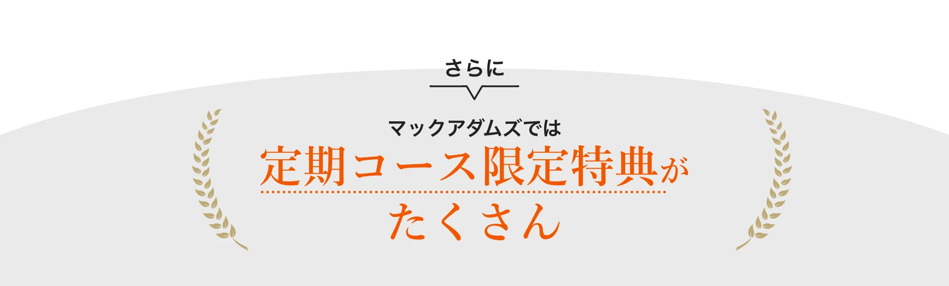 定期コース限定特典がたくさん