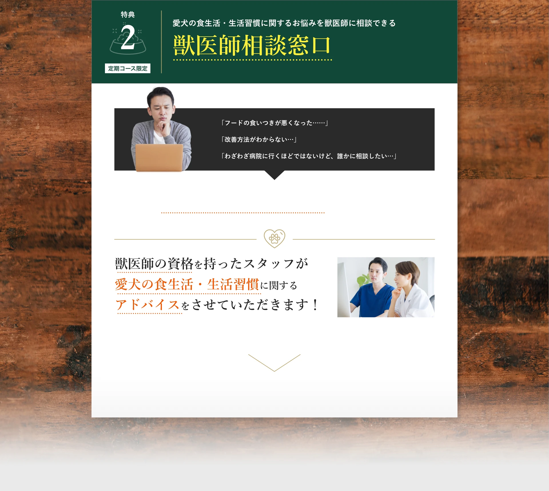 特典2:愛犬の食生活・生活習慣に関するお悩みを獣医師に相談できる獣医師相談窓口