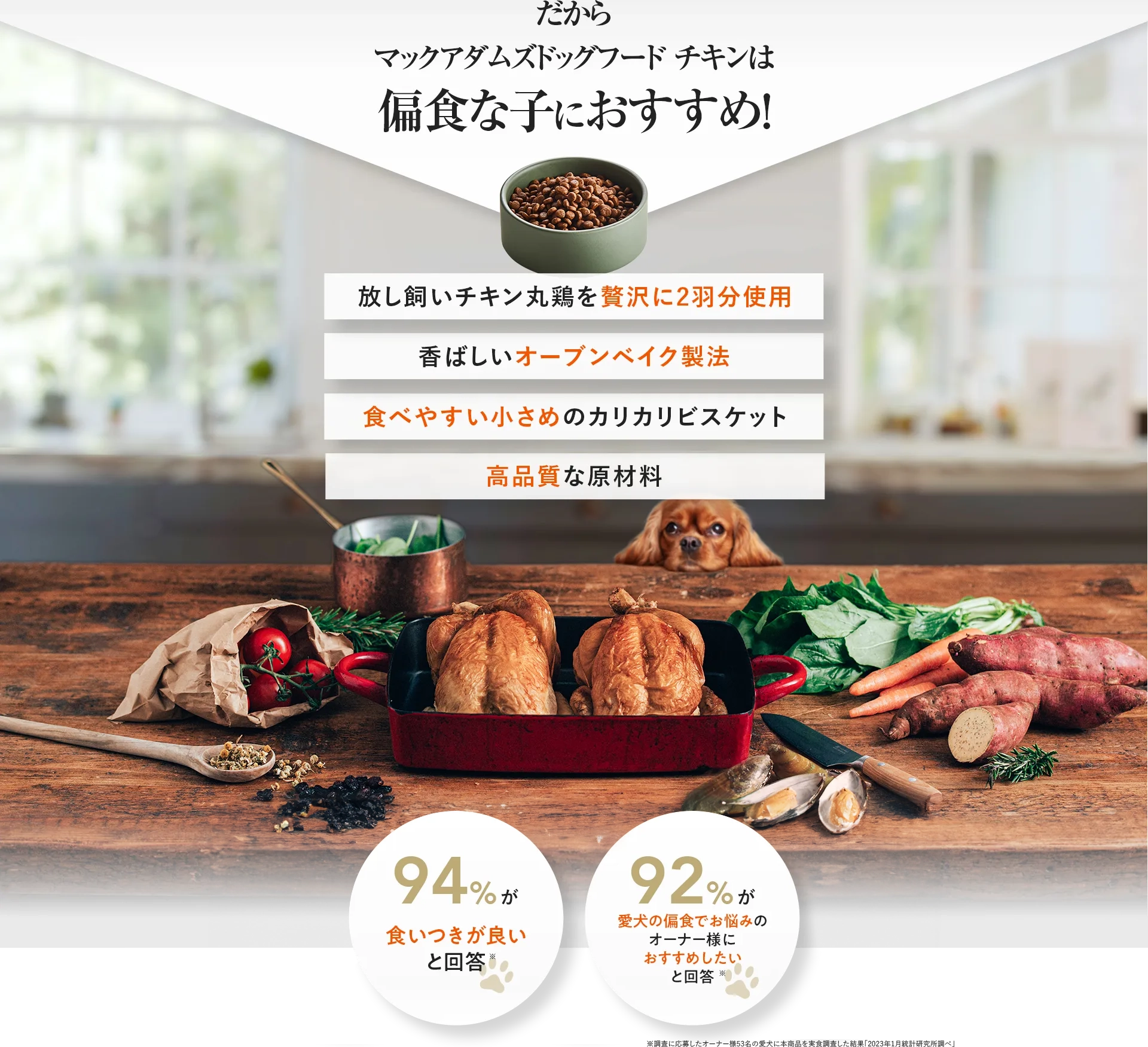 だからマックアダムズドッグフード チキンは偏食な子におすすめ!