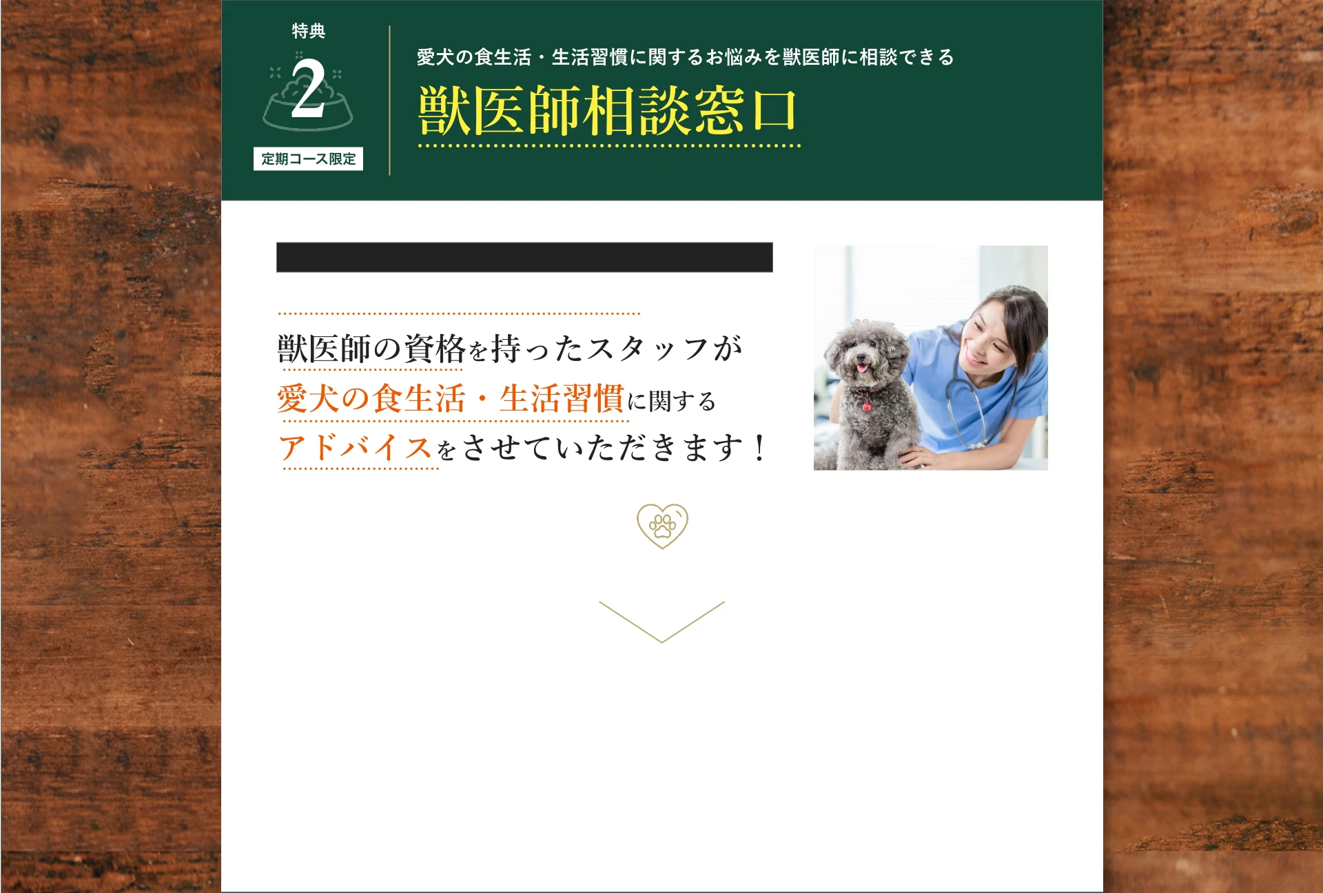 特典2:愛犬の食生活・生活習慣に関するお悩みを獣医師に相談できる獣医師相談窓口