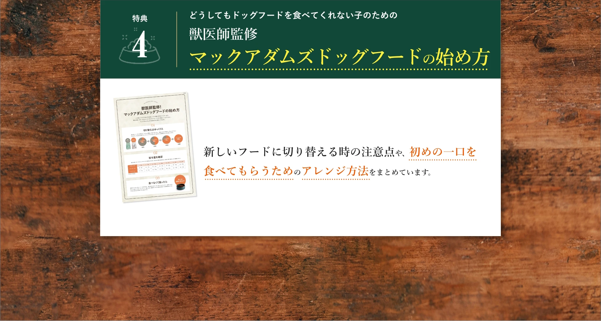 特典4:どうしてもドッグフードを食べてくれない子のための獣医師監修マックアダムズドッグフードの始め方
