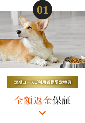01 全額返金保証