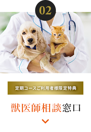 02 獣医師相談窓口