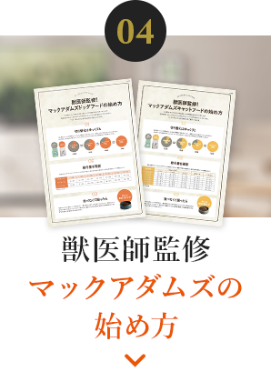 04 獣医師監修マックアダムズの始め方