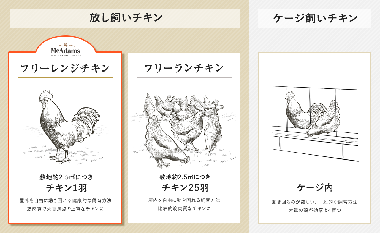 放し飼いチキン フリーレンジチキンの図