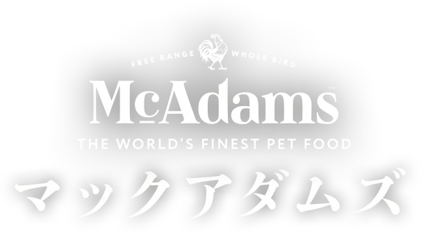McAdams マックアダムズ