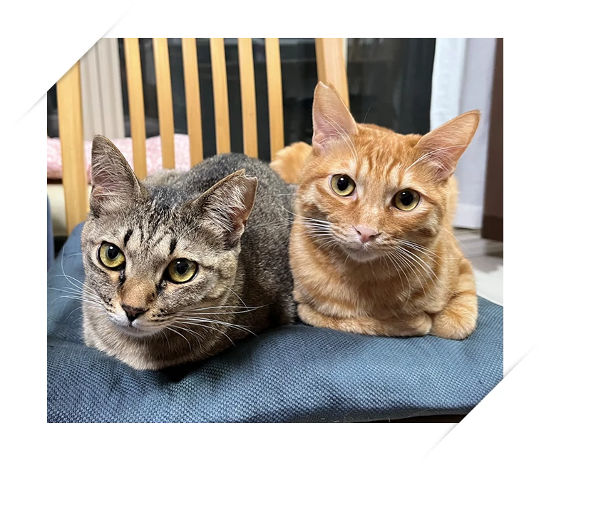 レオくん(1歳)、ルナちゃん(1歳)の写真